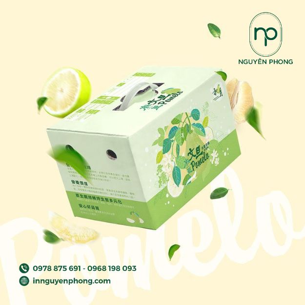 mẫu thùng carton 5 lớp BC đẹp